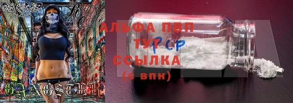 гидра Беломорск